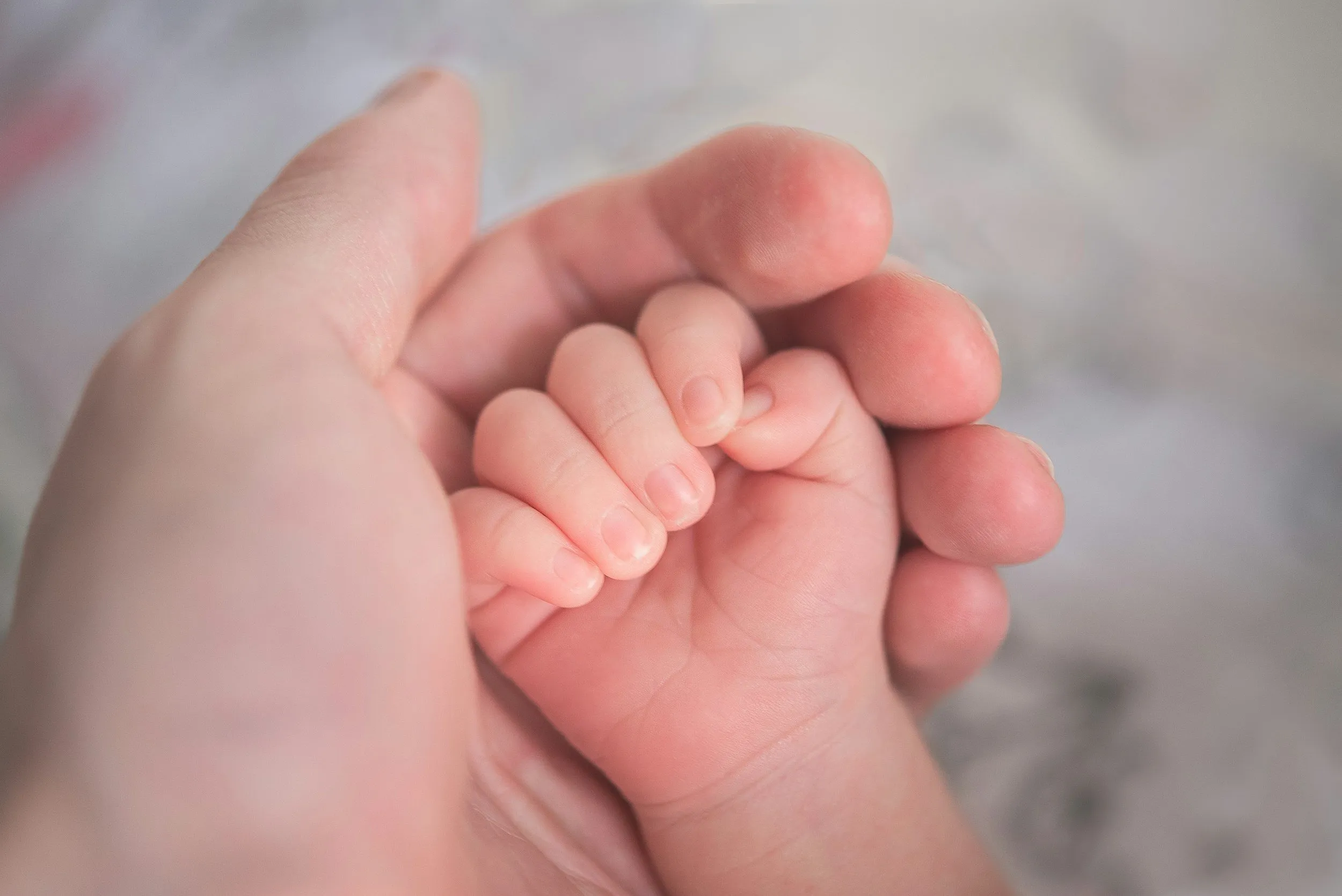 A newborn’s hand holding an adult’s finger